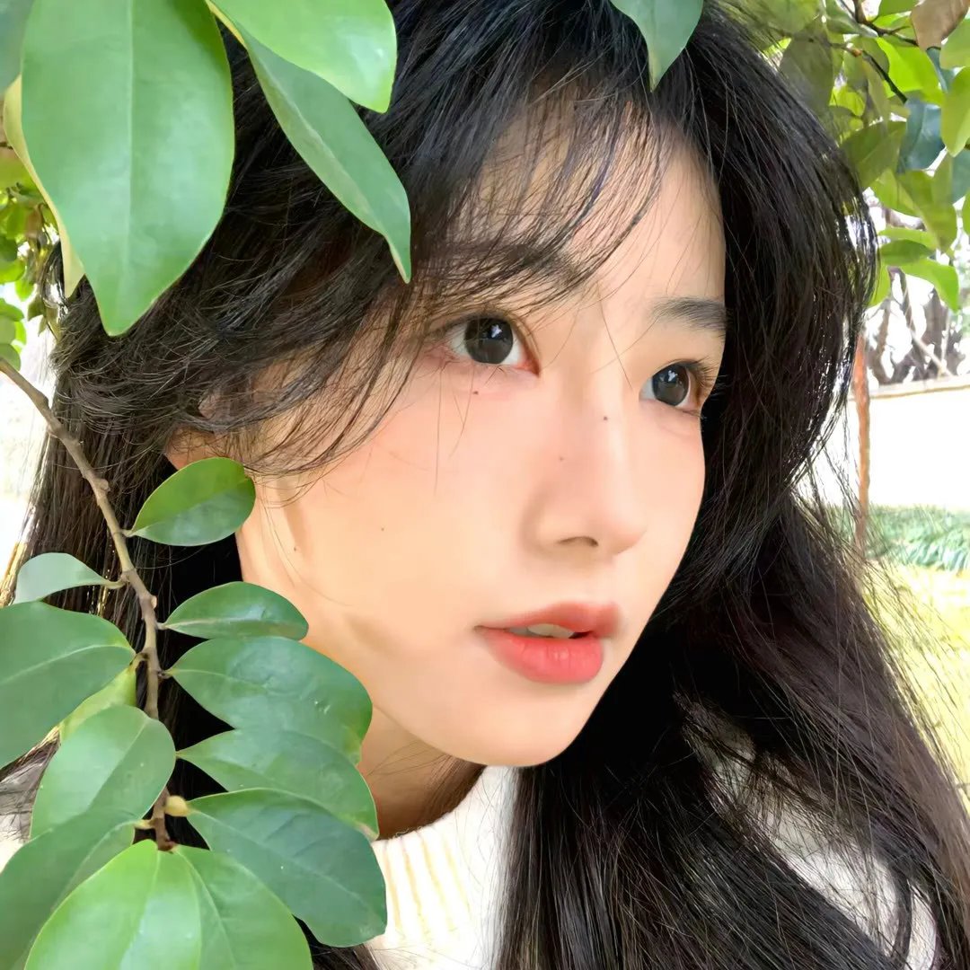 特里萨