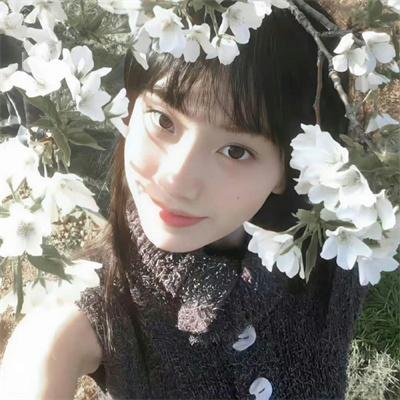 野性钻石
